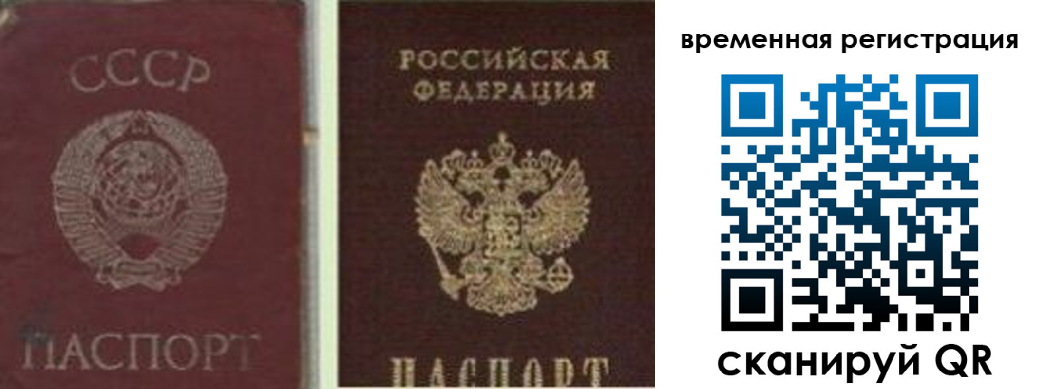 найти адрес прописки в Лодейном Поле